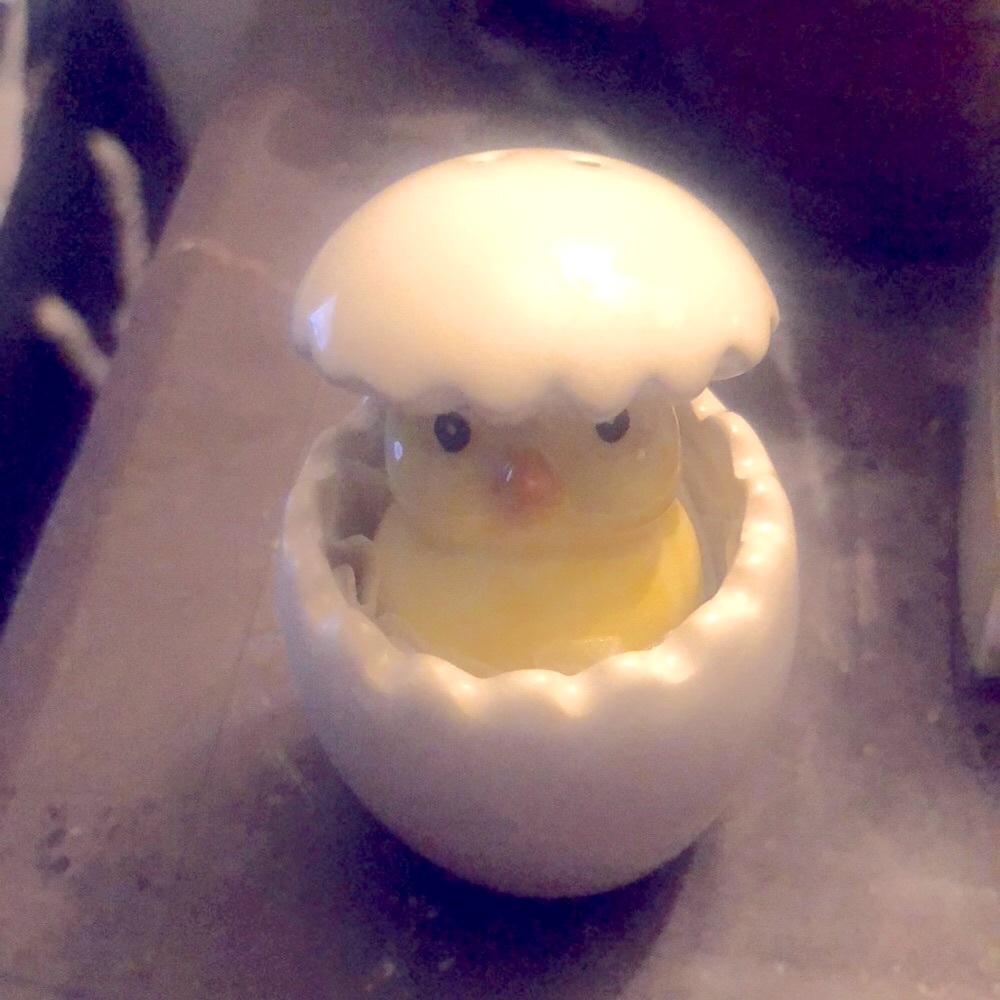 About to Hatch 2.5" Salt & Pepper Shakers